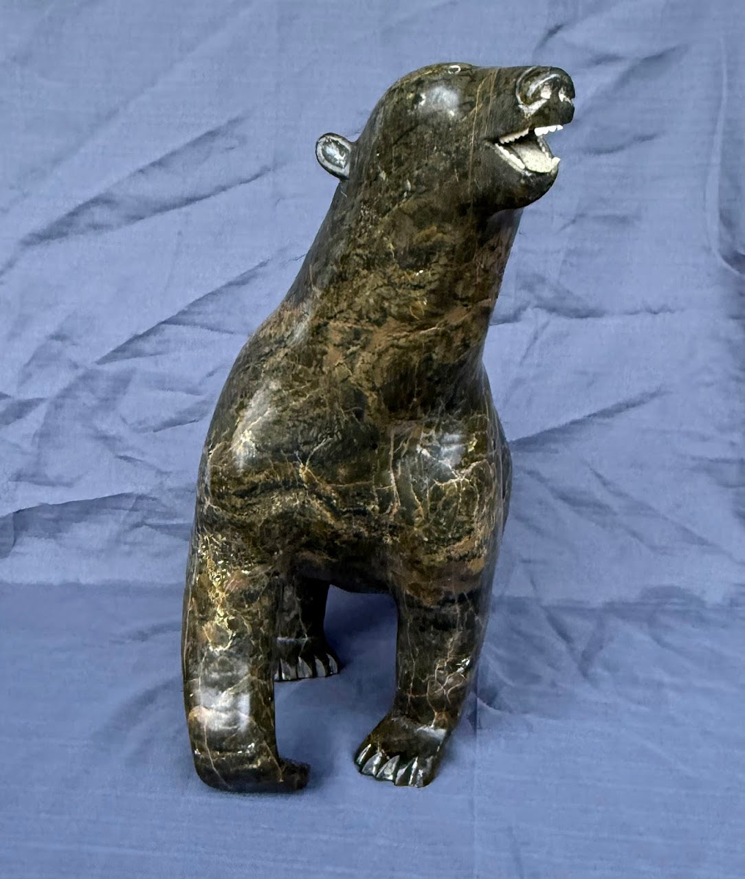 XXL Nuna Parr Bear