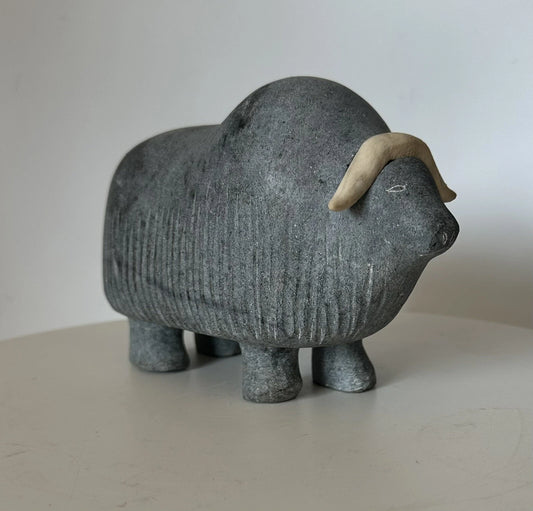 Musk Ox