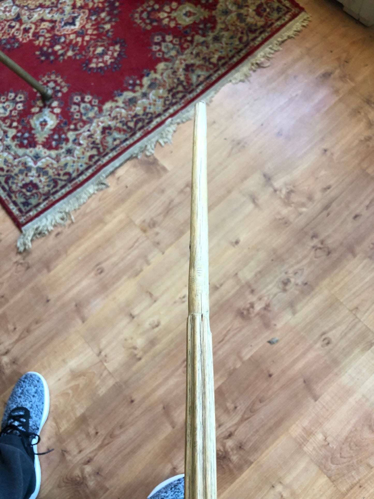 Mohawk Native Carved Walking Stick