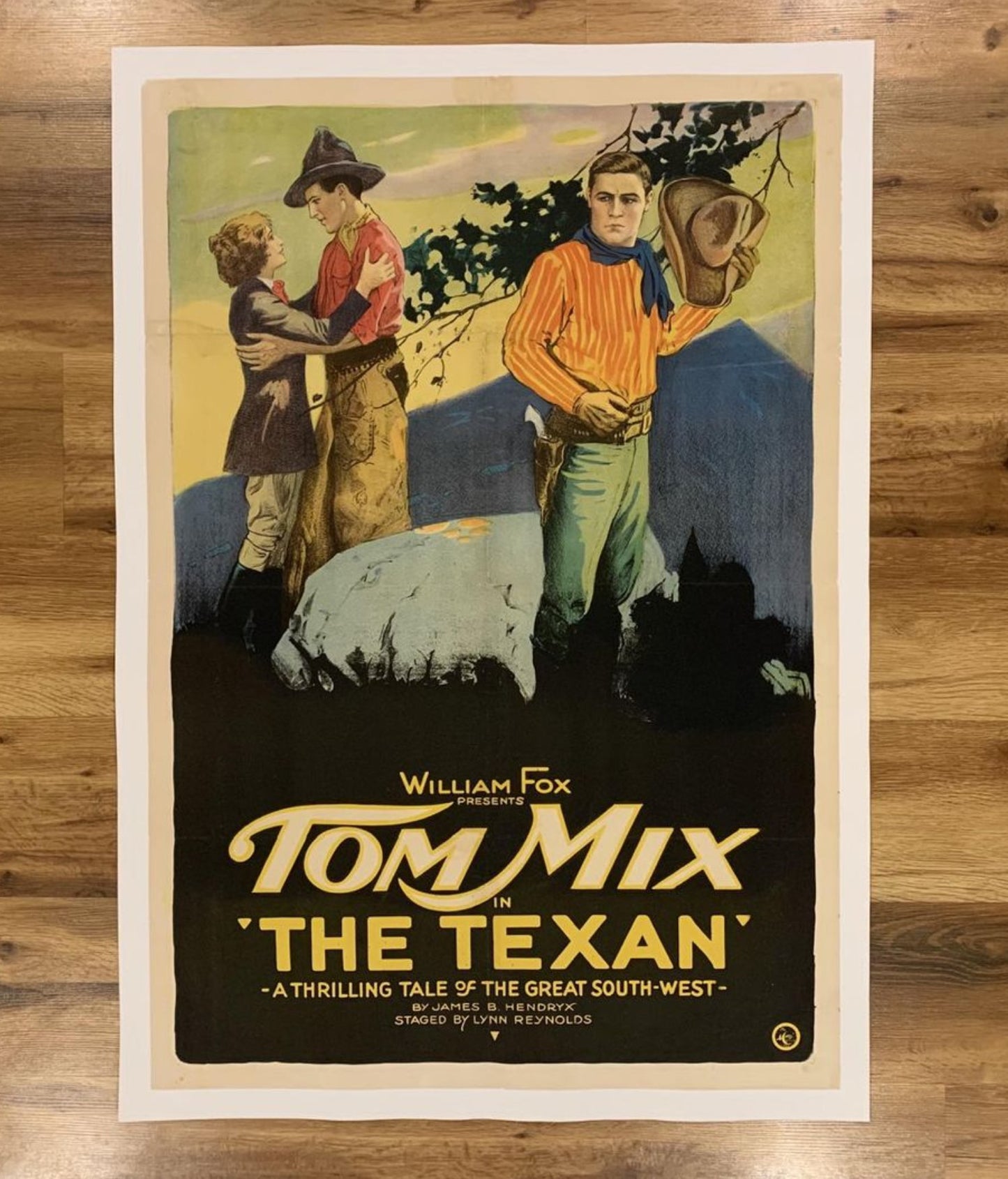 1920 Western Movie Poster : the Texan