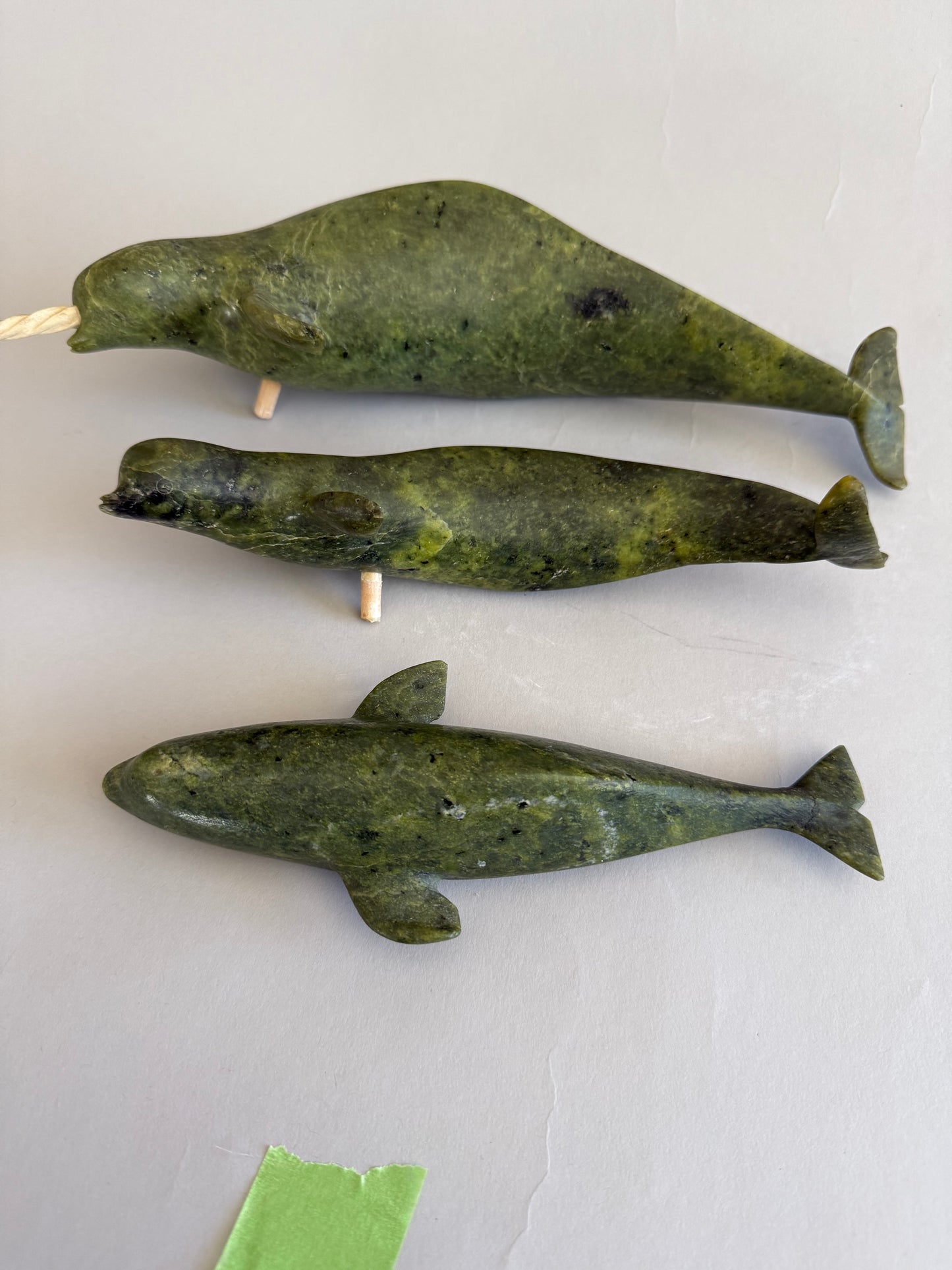 Narwhal Pod