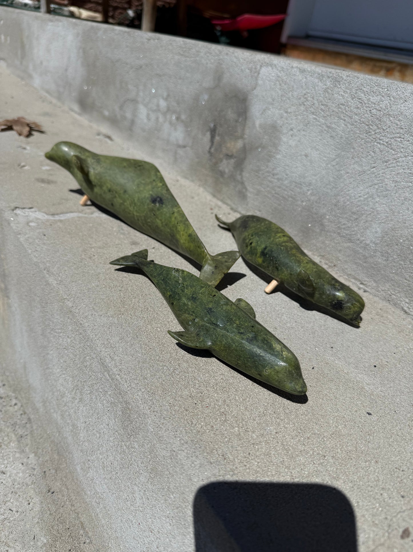 Narwhal Pod