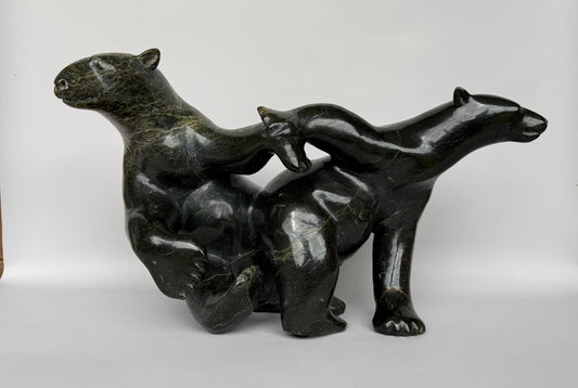 Kov Takpaungai Bears
