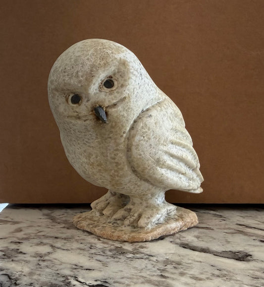 Manasie Owl