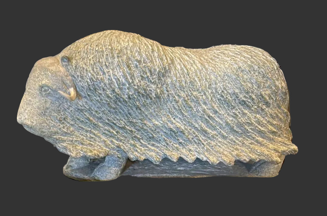 XXL Lucassie Muskox