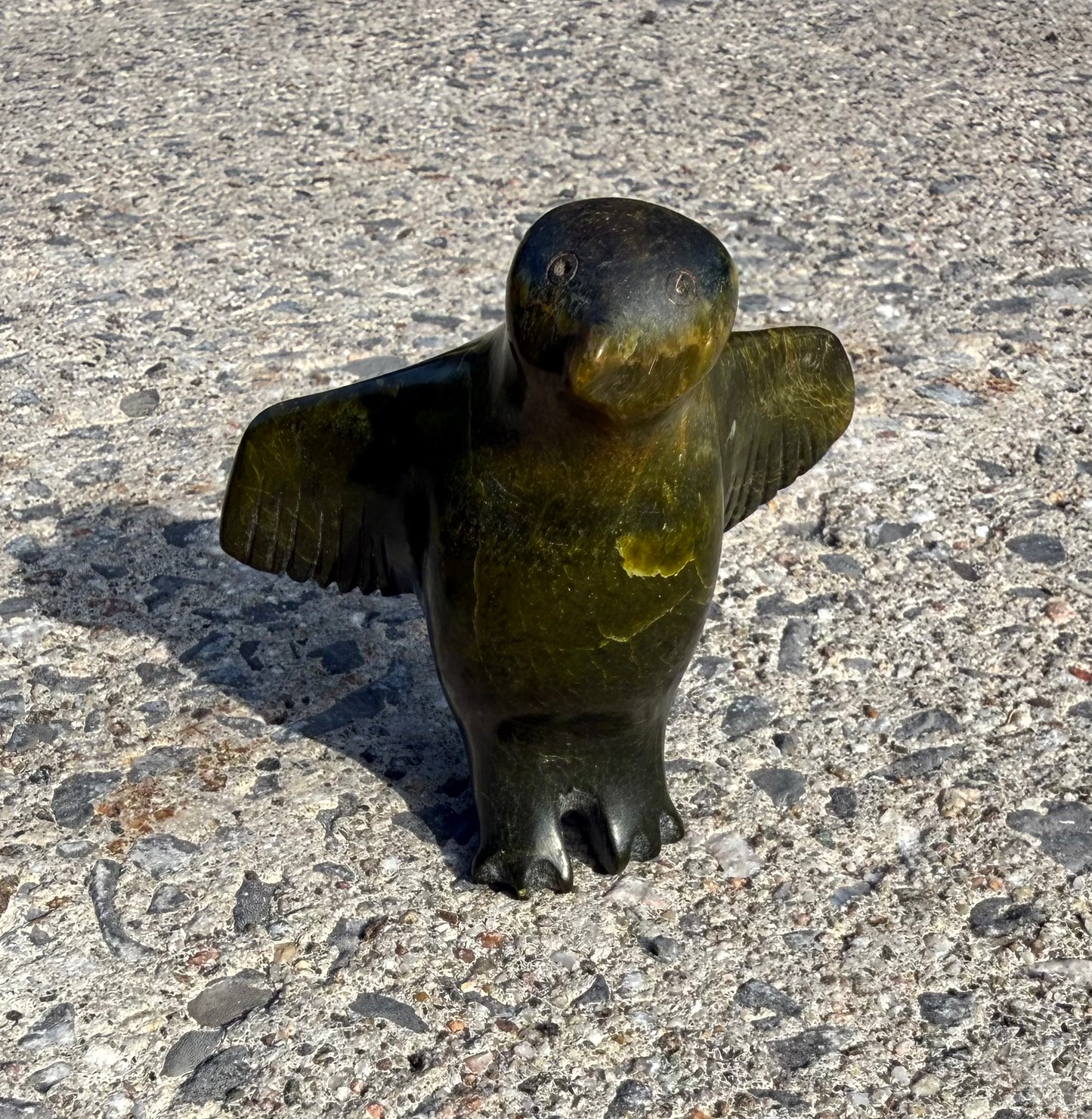 Alighting Bird