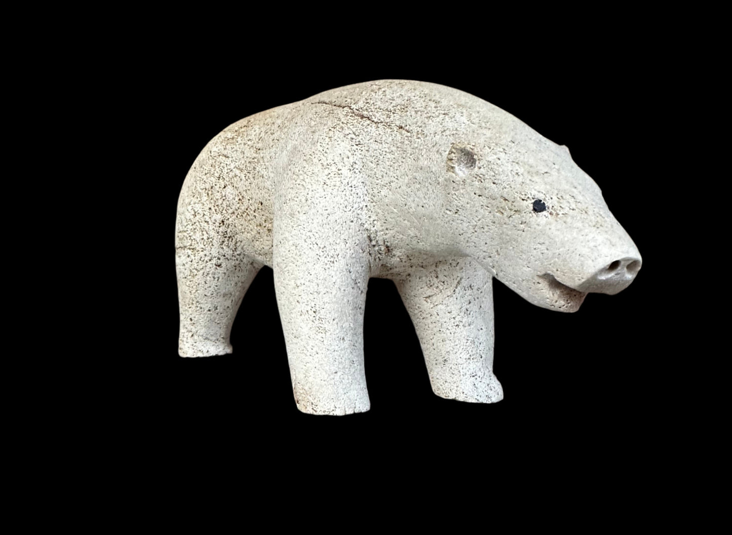 Whalebone Bear