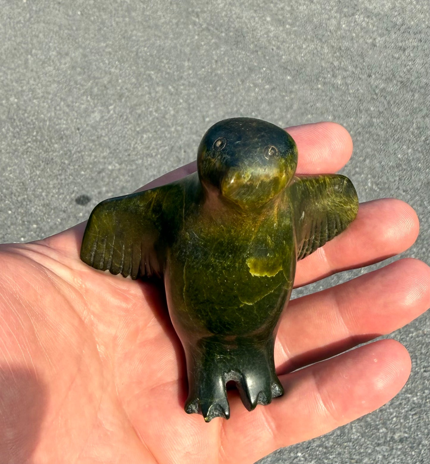 Alighting Bird