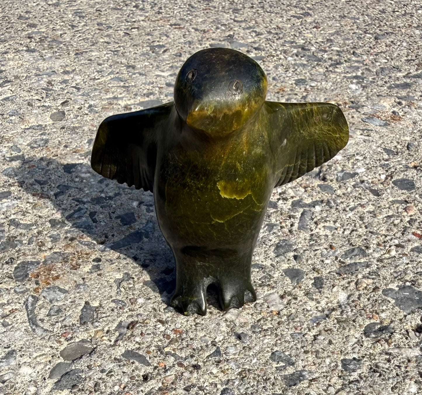 Alighting Bird