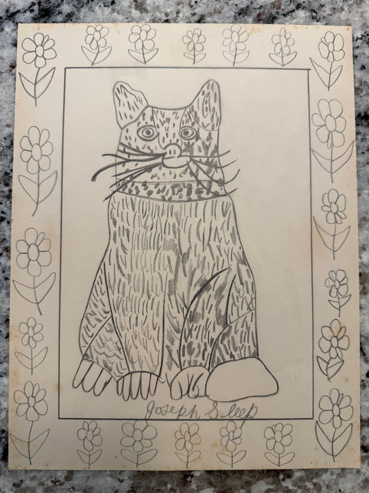 Cat Drawing