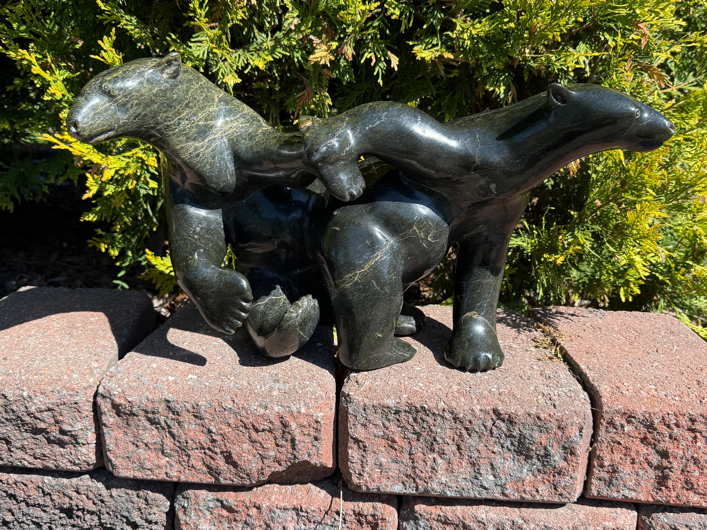 Kov Takpaungai Bears