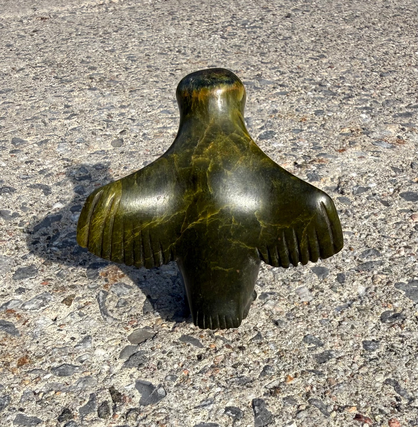 Alighting Bird