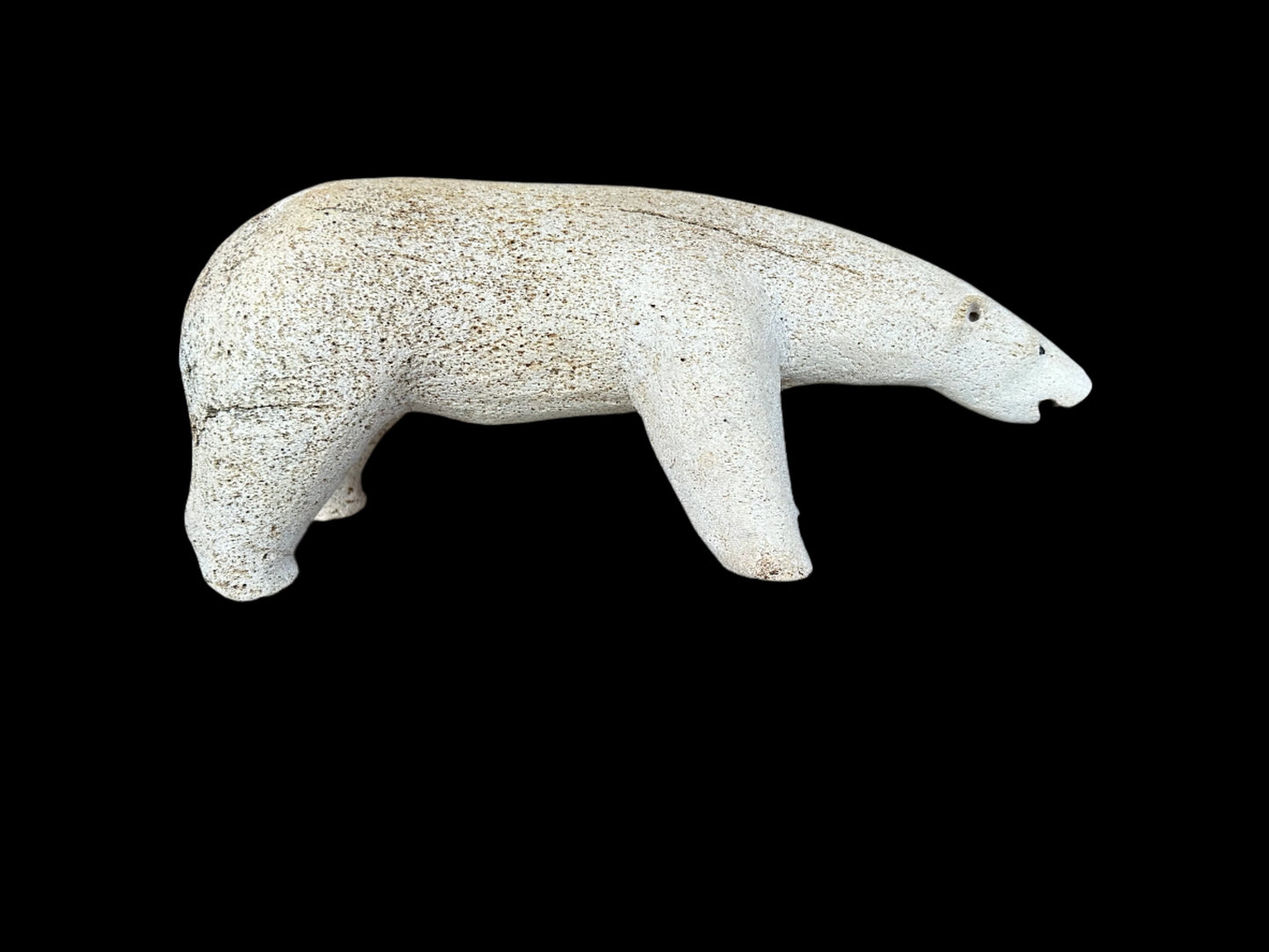 Whalebone Bear