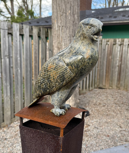 Pits Qimirpik Falcon
