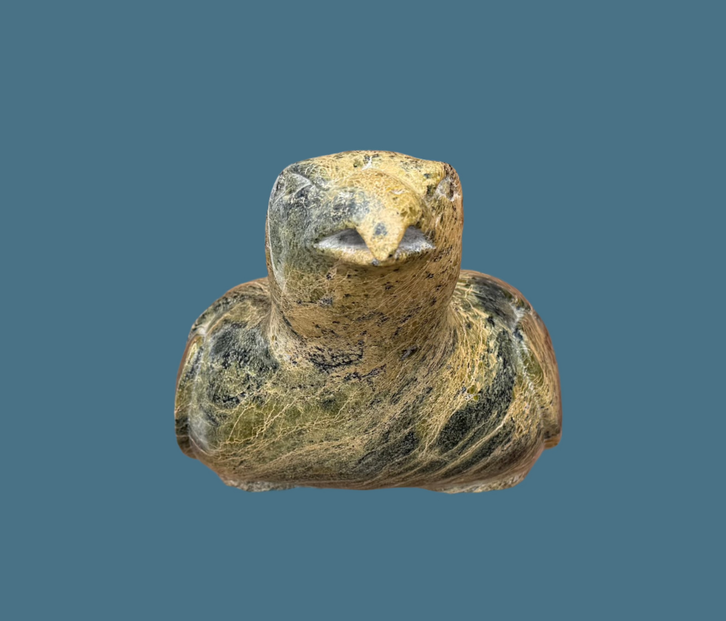 Oviloo Tunnillie Falcon