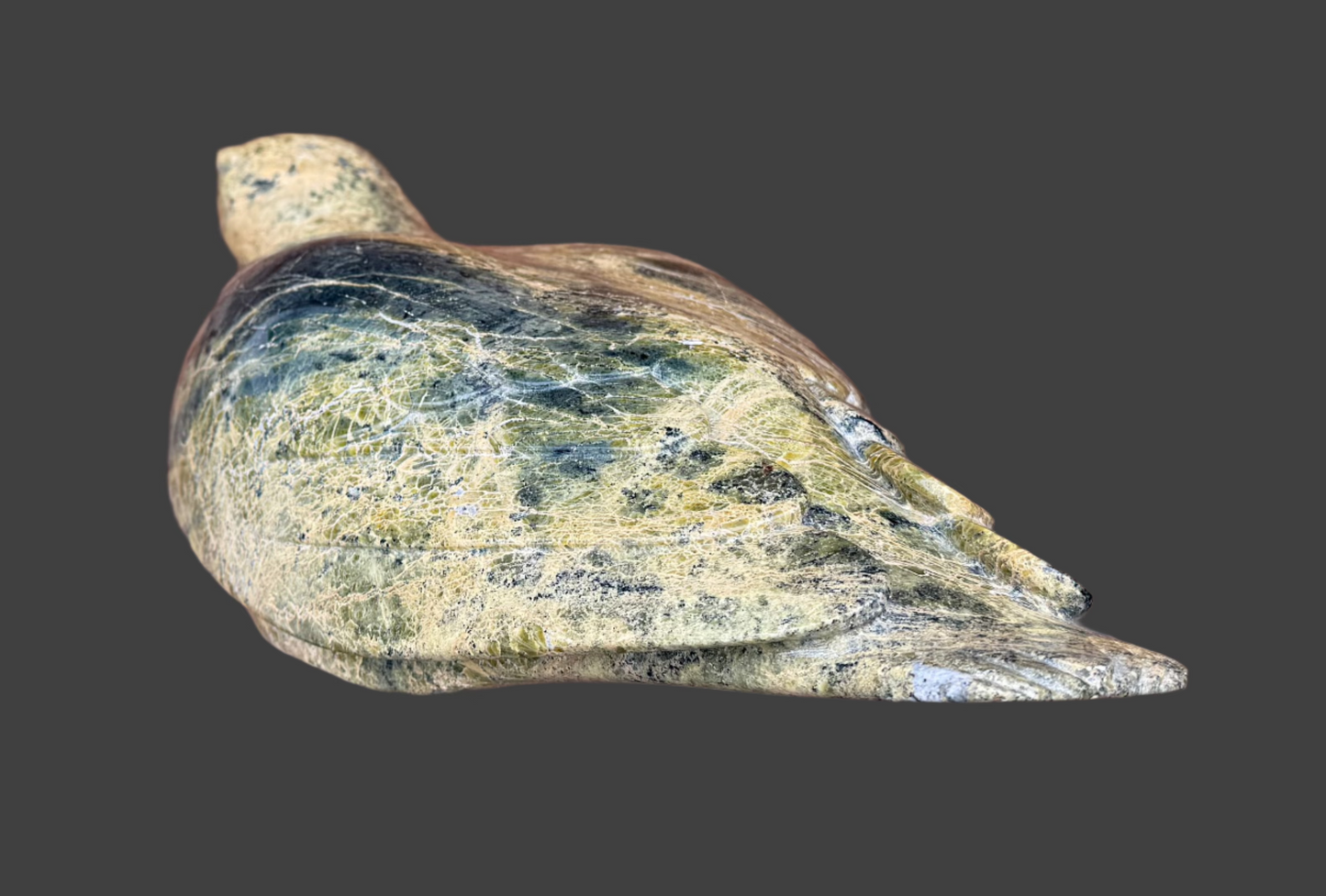 Oviloo Tunnillie Falcon